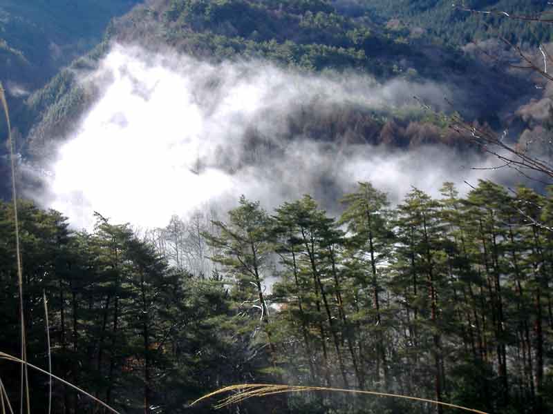 e0001110_7192221.jpg