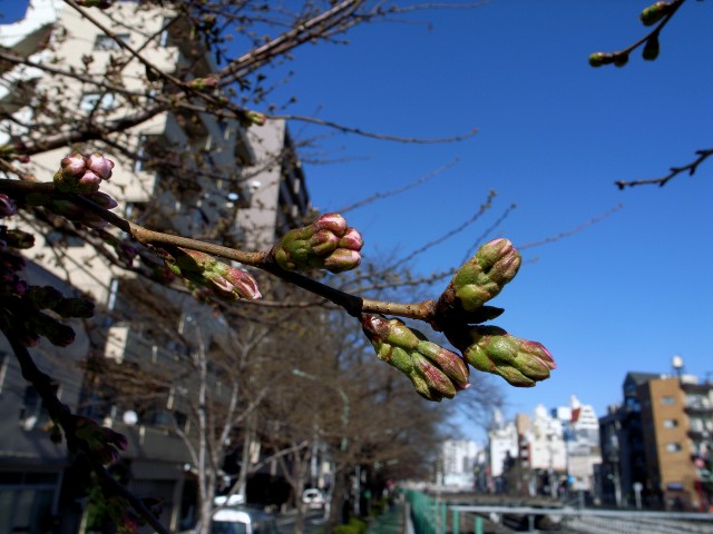 c0071611_20564981.jpg