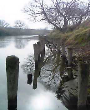 a0049715_22463271.jpg