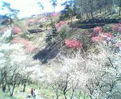 d0052515_16472055.jpg