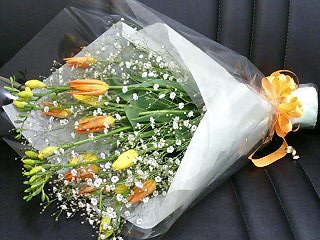 e0026017_00813.jpg