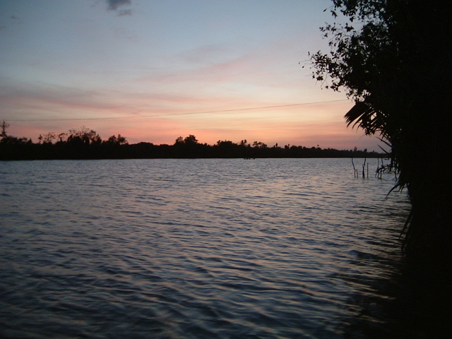 d0012323_11324110.jpg
