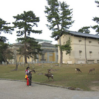 d0033734_1357523.jpg