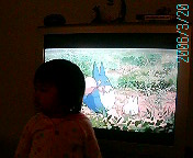 f0006234_1534087.jpg
