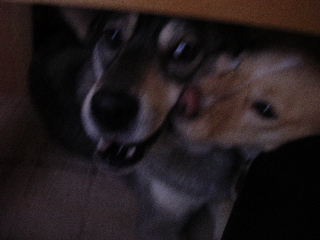 c0065643_218152.jpg