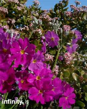 c0069552_18523364.jpg