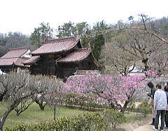 d0031853_15525159.jpg
