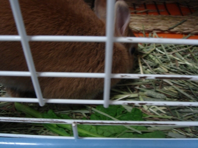 c0032257_22594558.jpg