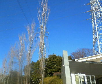 d0015364_058750.jpg