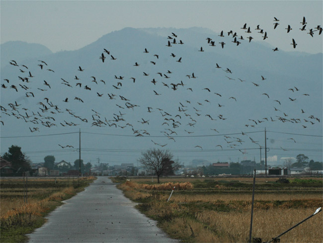 d0009773_9554928.jpg