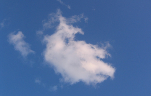 b0057679_109111.jpg