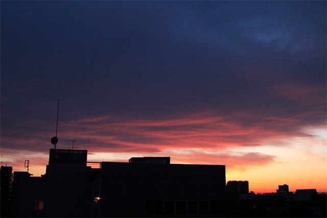 b0067789_22493064.jpg