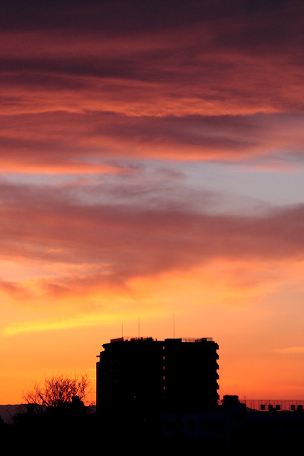 b0067789_2355546.jpg