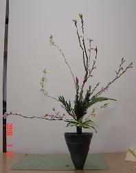 f0067590_23312478.jpg