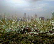 b0007895_19504742.jpg