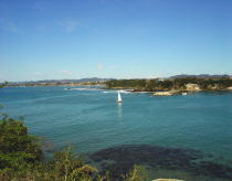 c0008598_2240785.jpg