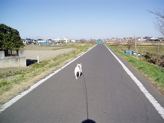 e0066099_22384561.jpg