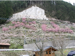 c0036203_18313998.jpg