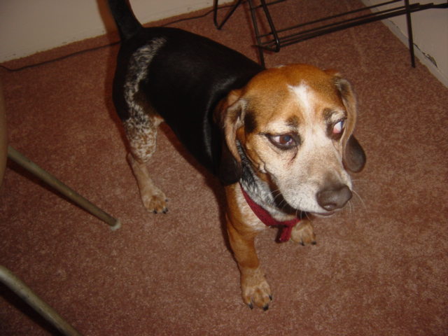 c0048504_215549.jpg