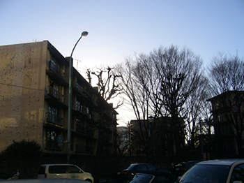 f0033510_112870.jpg