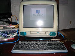 d0059213_16323524.jpg
