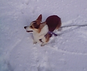 e0007313_22265742.jpg