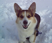 e0007313_2230473.jpg