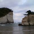 b0040819_034461.jpg