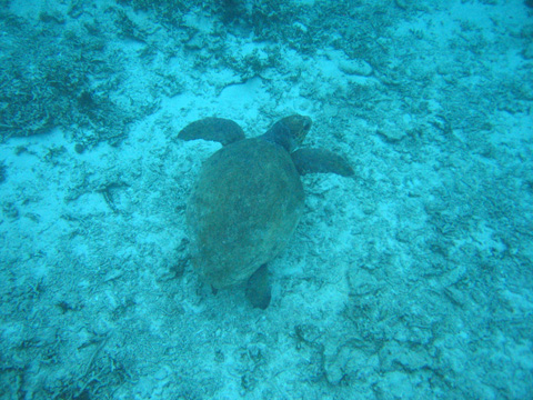 e0089826_22191152.jpg