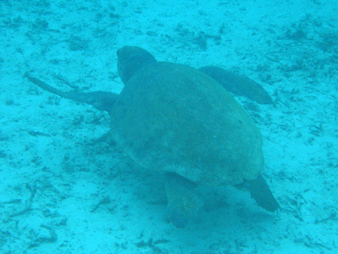 e0089826_22253286.jpg