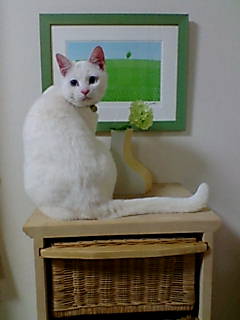 f0002833_0293213.jpg
