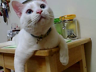 f0002833_0301419.jpg