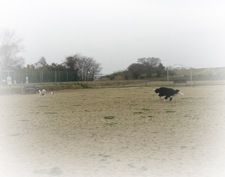 f0070233_20105677.jpg