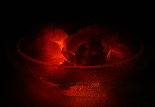 b0063234_23307100.jpg