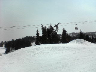 c0054838_224230.jpg