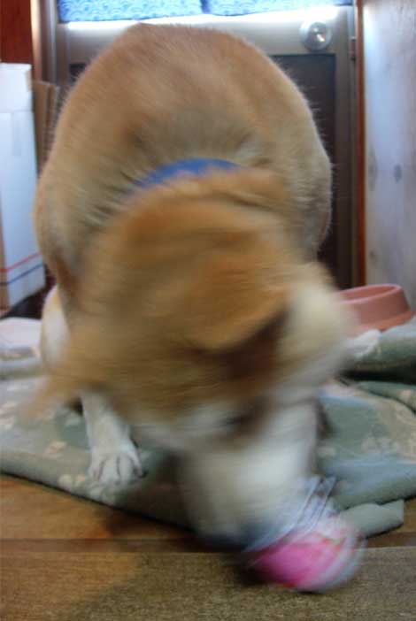 e0077145_1475695.jpg