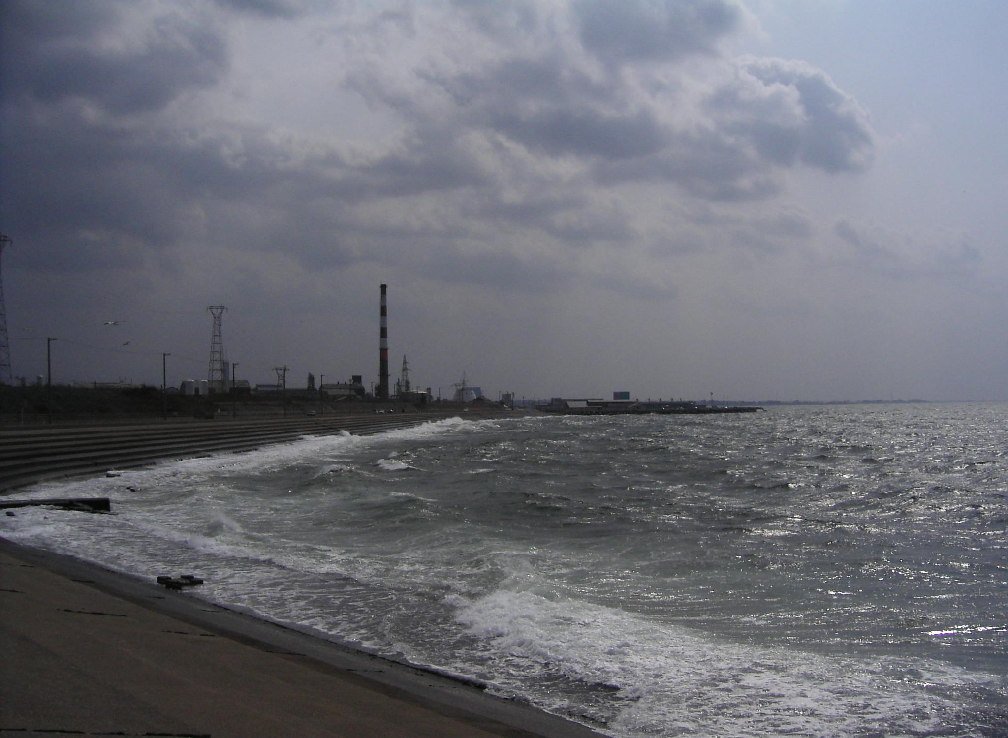 c0026846_2031646.jpg