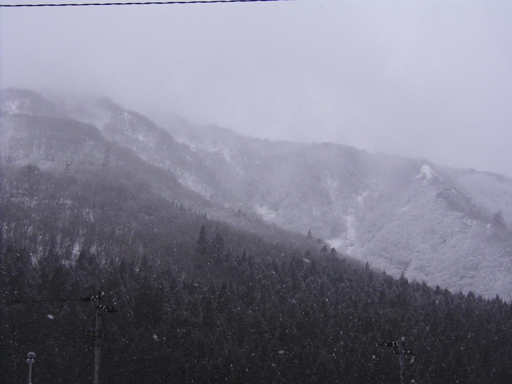 c0026846_2043238.jpg