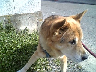 f0053847_1916165.jpg