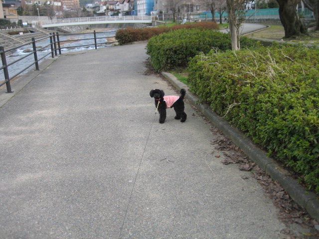 d0044249_2210552.jpg