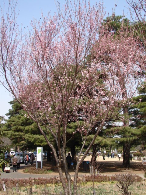 b0061261_2225056.jpg