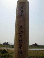 a0055362_2159729.jpg