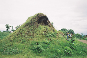 b0046664_23223818.jpg