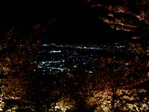 e0034068_21371131.jpg