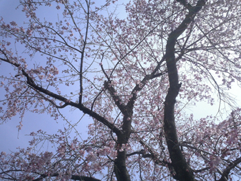 e0001170_16115092.jpg
