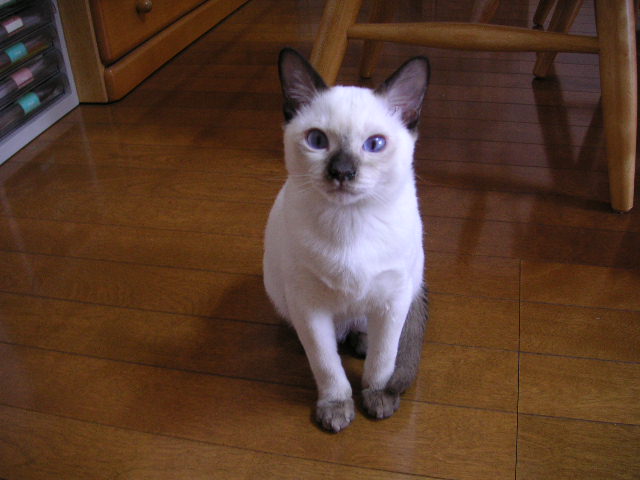 e0007273_2284586.jpg
