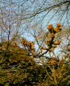 f0004180_22103870.jpg