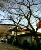f0004180_2211834.jpg