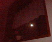 f0005891_2145816.jpg