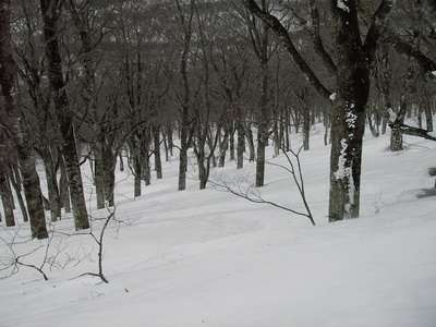 a0043193_2117543.jpg